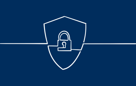 Data Security Icon